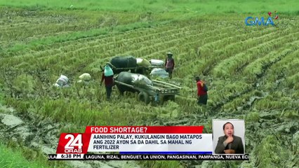 Aanihing palay, kukulangin bago matapos ang 2022 ayon sa DA dahil sa mahal ng fertilizer | 24 Oras