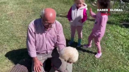 Tam 15 kilo... 1900 rakımlı arazide çalılıkların arasında buldu!