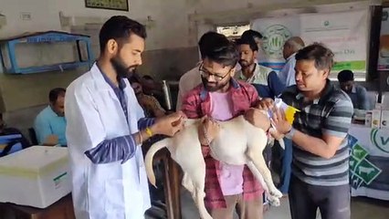 पेट्स के लिए लगाया शिविर, की गई निशुल्क जांच