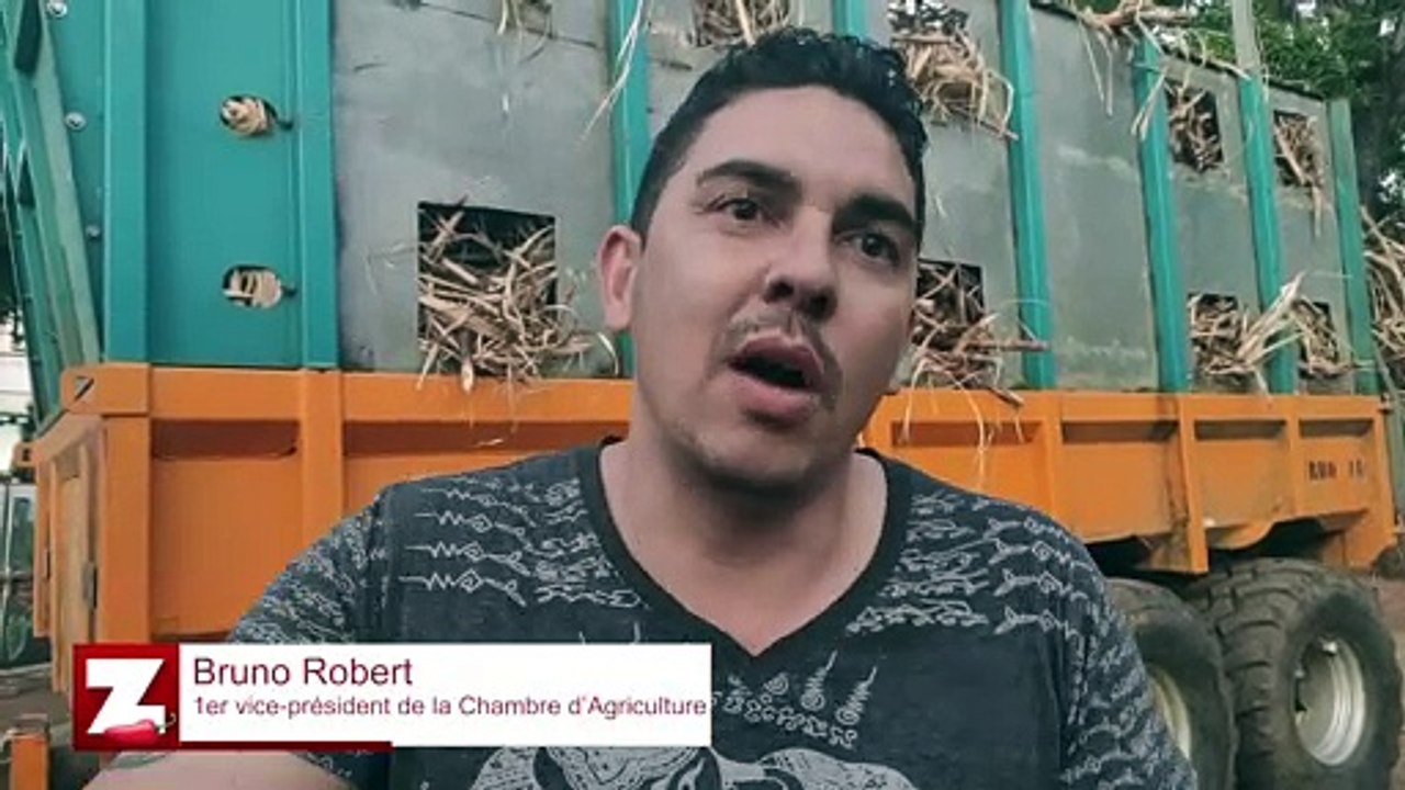 2.000 hectares de friches à La Réunion pour atteindre l’autosuffisance alimentaire