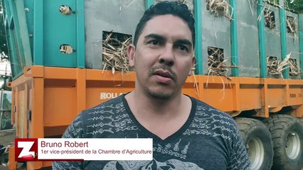 Les enjeux de la convention canne