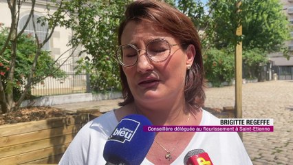 Des ilôts de fraîcheur en plein coeur de Saint-Etienne