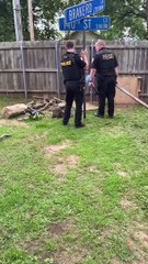 Police Take Street Signs From Backyard and Walked Them to Station