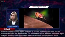 Mosquitos with West Nile virus found in Milpitas - 1breakingnews.com