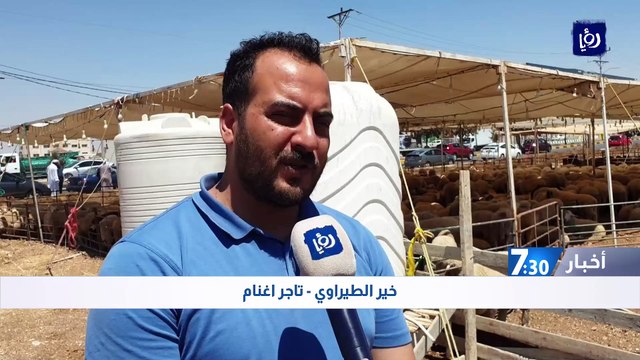 أسعار الأضاحي بين ارتفاع الكلف وقدرة المواطن على شرائها