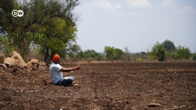 Индия: локальный эффект от глобальных изменений климата (30.06.2022)