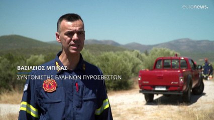 RescEU: Κλιμάκια έξι ευρωπαϊκών κρατών συνδράμουν στην δασοπυρόσβεση την Ελλάδα