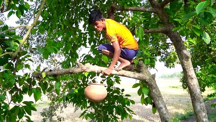 Must Watch New Funny Video 2021_Top New Comedy Video 2021_Try To Not Laugh Episode-102By #FunnyDay