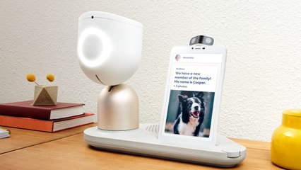 New York State Will Deliver Robots To The Elderly To Combat Social Isolation