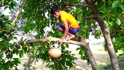 Must Watch New Funny Video 2021_Top New Comedy Video 2021_Try To Not Laugh Episode-102By #FunnyDay