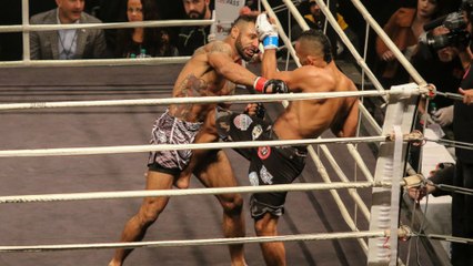 Brito Landed Harder Punches Than Palomino