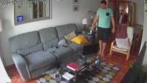 Cat Pulls Laptop off Coffee Table on Accident