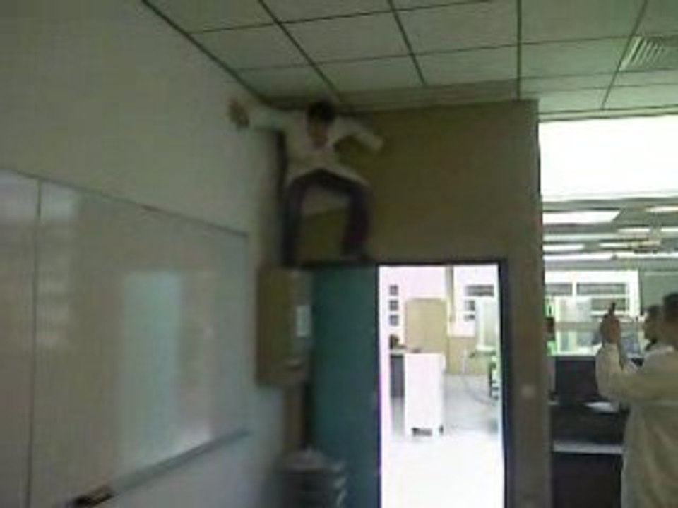 Spider-roro01