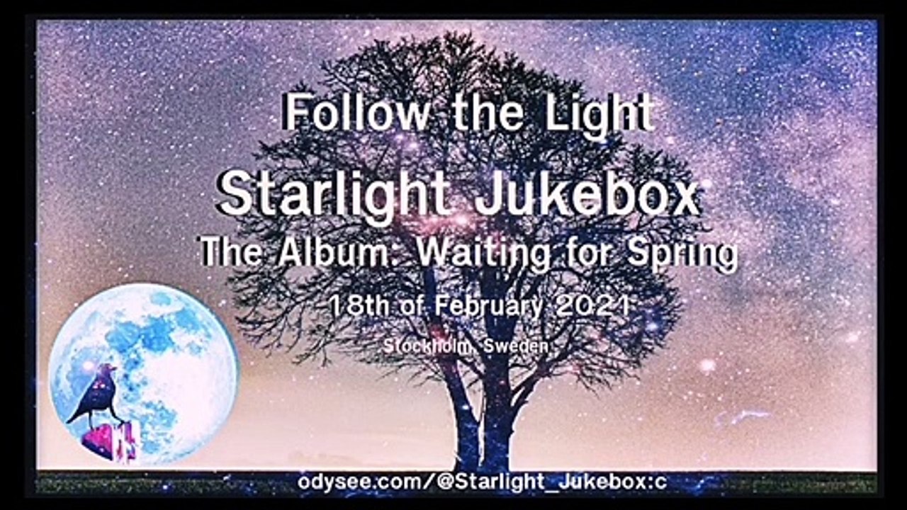 Follow the Light