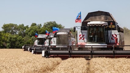 تصدير الحبوب من أوكرانيا بين الحرب والدبلوماسية