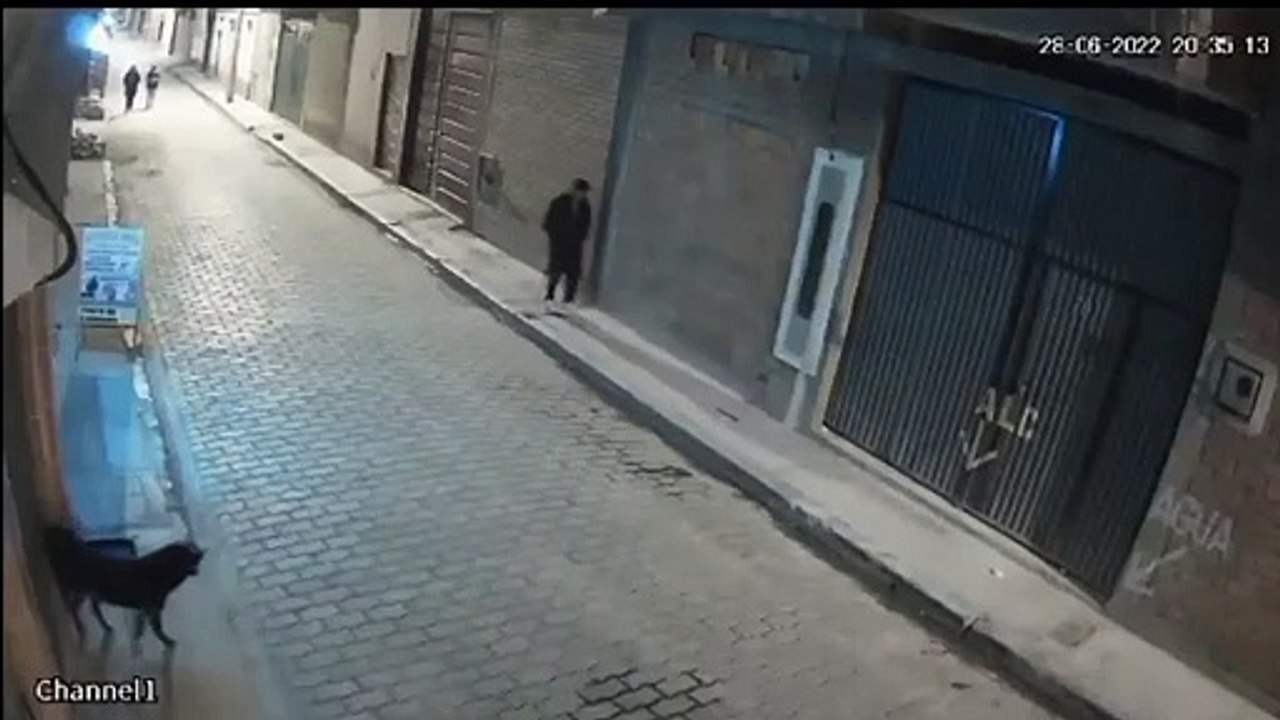 Un joven intentó patear a un perro y acabó tendido en el piso