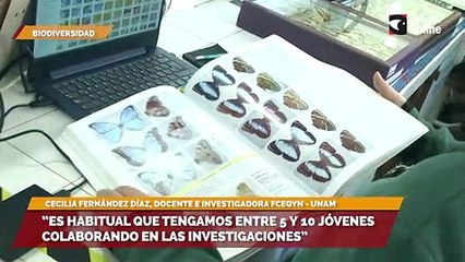 “Es habitual que tengamos entre 5 y 10 jóvenes colaborando en las investigaciones”