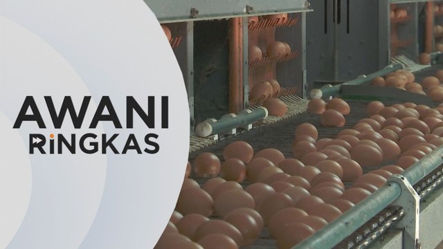 AWANI Ringkas: Subsidi RM1 bilion untuk Julai, Ogos 2022