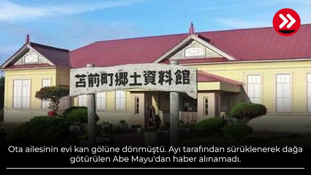 Ayı dehşet saçtı! Midesinden çıkanlar şoke etti