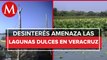Empresas ponen en peligro las lagunas de agua dulce en Veracruz