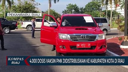 4.000 Dosis Vaksin PMK Didistribusikan Ke Kabupaten Kota Di Riau