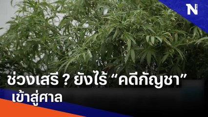 ช่วงเสรี ? ยังไร้ "คดีกัญชา" เข้าสู่ศาล | เนชั่นทันข่าวเช้า | NationTV22