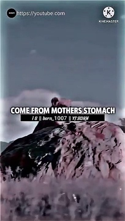 inspirational-line-motivational-quotes-whatsapp-status-short-quates-motivation-ytshorts.savetube.me