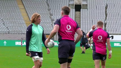 Dan Sheehan Interview