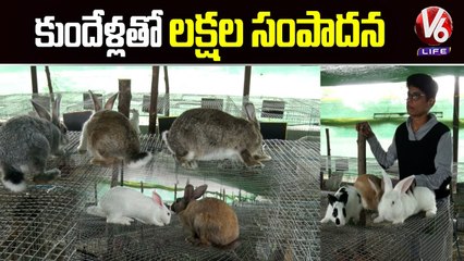 Software Engineer Nanda Started Rabbit Farming Business In Sangareddy |  V6 Life (2)