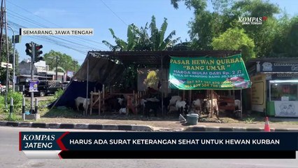 Harus Ada Surat Keterangan Sehat Untuk Hewan Kurban