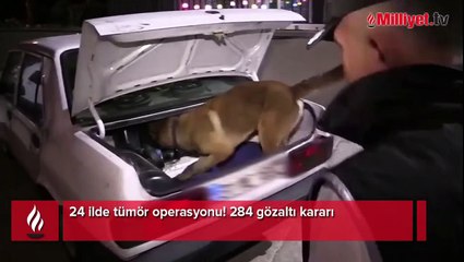 24 ilde tümör operasyonu! 284 gözaltı kararı