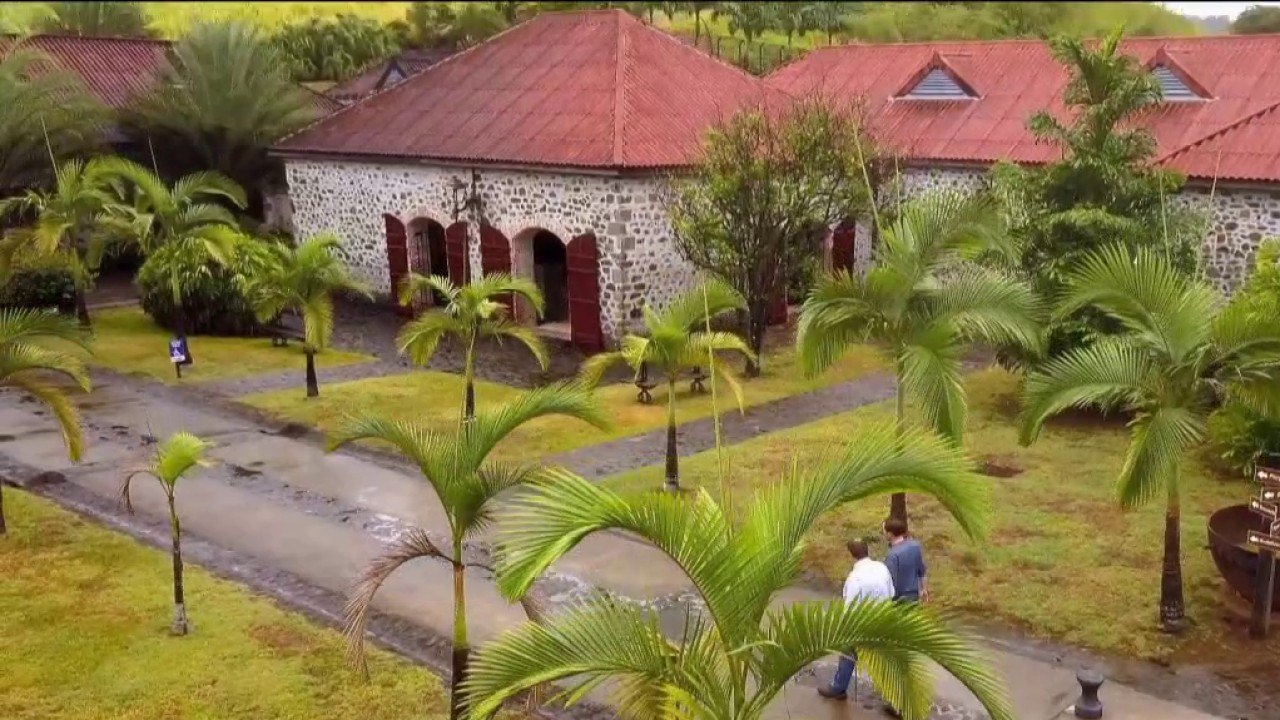 Martinique - Le goût sucré de la canne