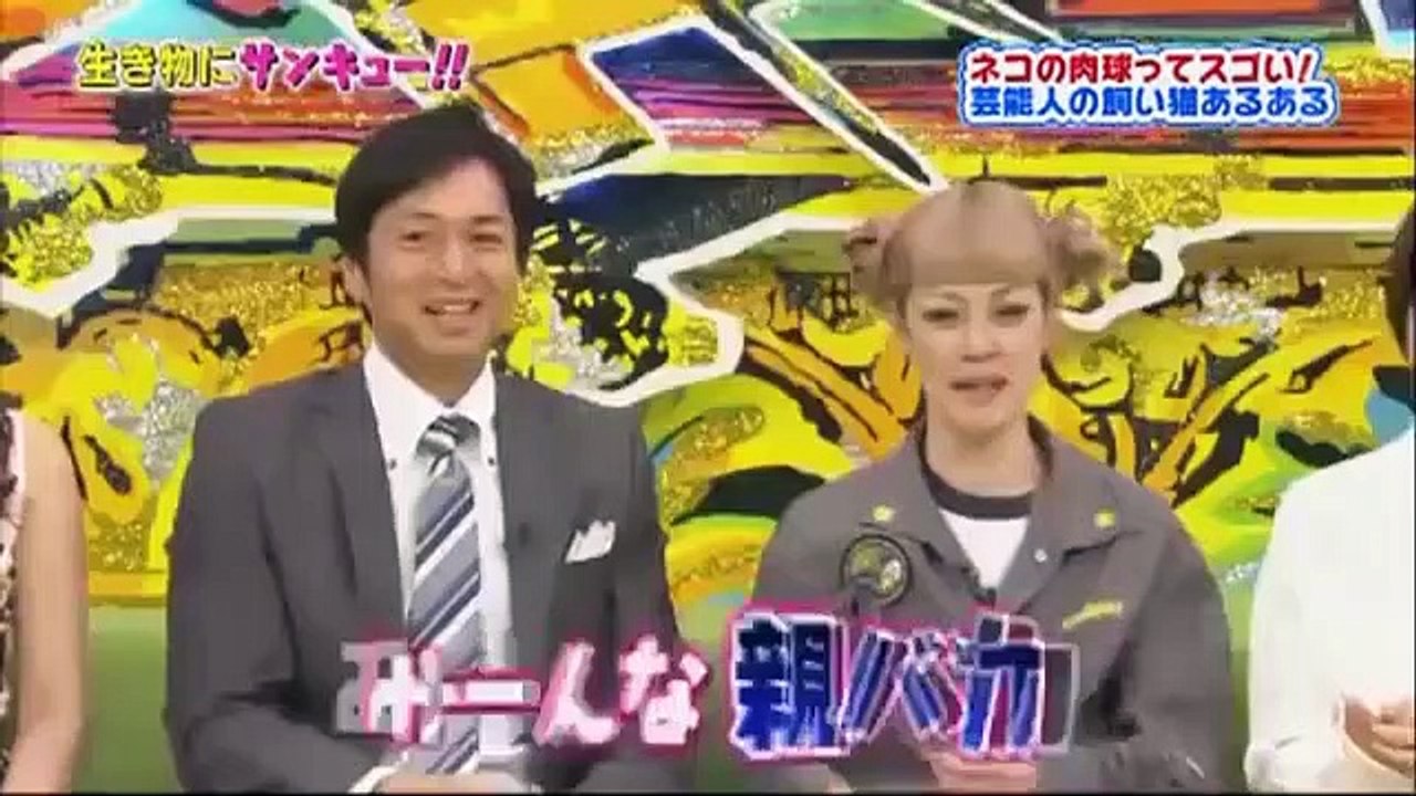 トコトン掘り下げ隊!生き物にサンキュー!! ネコの肉球SP！不思議な行動だらけのネコを肉球から掘り