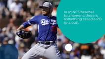 Baseball Tournaments for Ncs Baseball Fans - Articles Hubspot