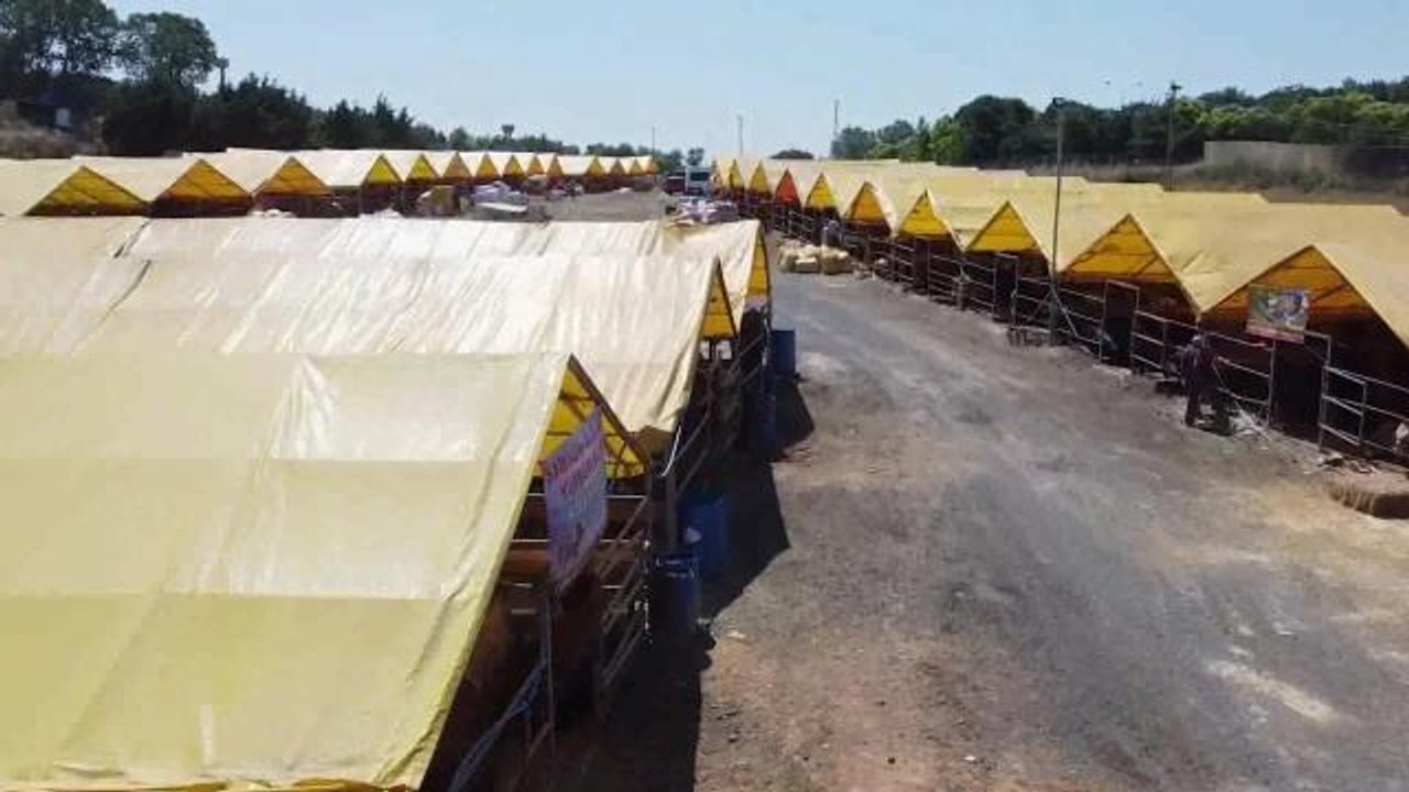 Büyükçekmece'de Modern ve Hijyenik Kurban Kesim ve Satış Alanı Hizmete Girdi