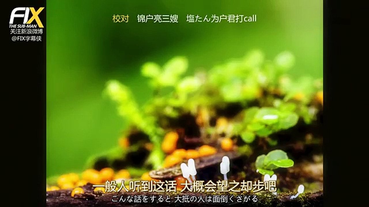 日劇 » 我的丈夫不能工作02