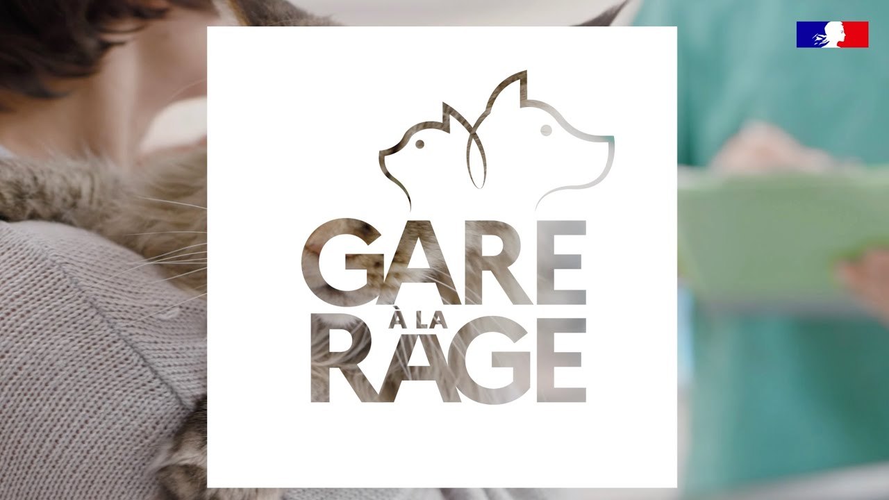 La rage, un risque toujours d'actualité