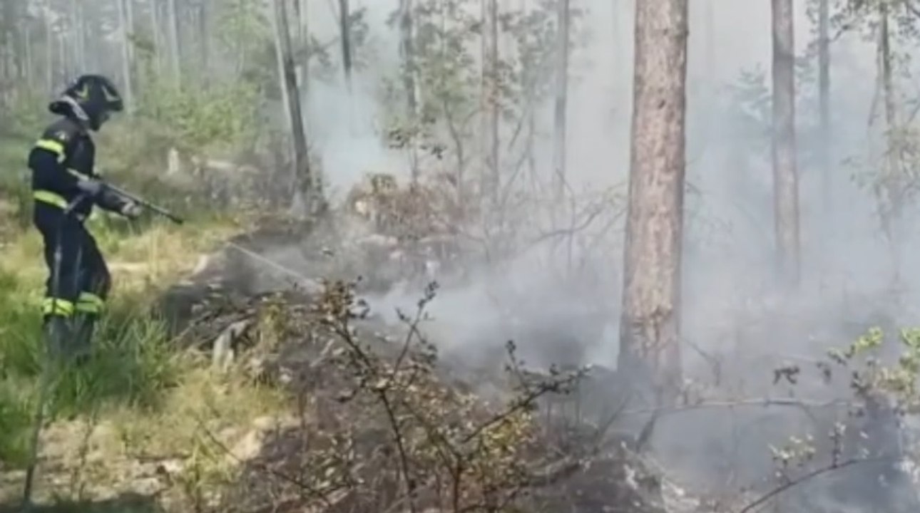 Barberino del Mugello (FI) - Incendio in zona impervia alimentato dal forte vento (01.07.22)