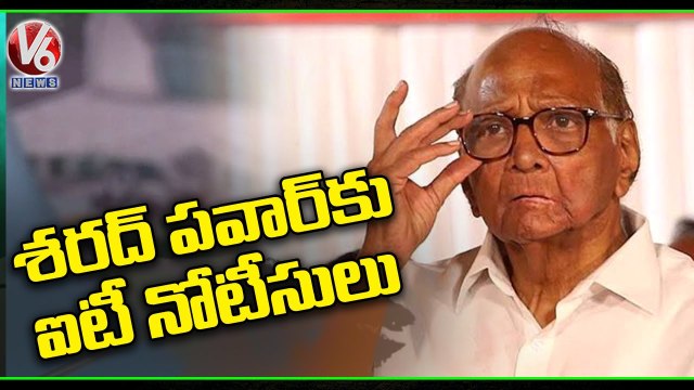 NCP Chief Sharad Pawar Receives Income Tax Notice Over Poll Affidavit _ V6 News