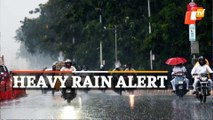 Weather Forecast: Heavy Rainfall In Odisha For Next Two Days