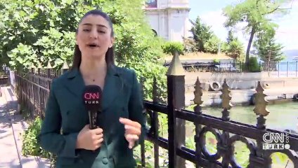 Deniz yüzeyi yosunlarla kaplandı