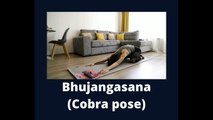 Different Yoga Types