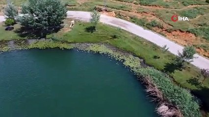 Torosların incileri Dipsiz Göl ve Eğrigölden bahara muhteşem selamlama