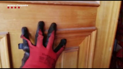 Los Mossos desmantelan una plantación de marihuana