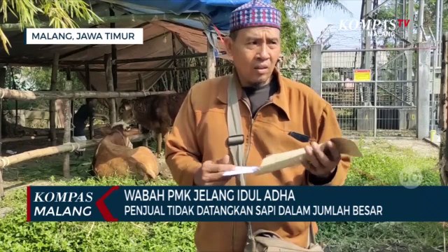 Penjualan Hewan Kurban Sapi di Tengah Wabah PMK Harus Penuhi Sejumlah Syarat