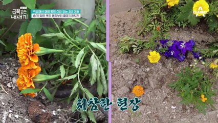 ((일동 긴장)) 똑같이 갚아주는 함무라비 훈육법(⚆_⚆), 오 박사 눈살을 찌뿌린 이유는?!