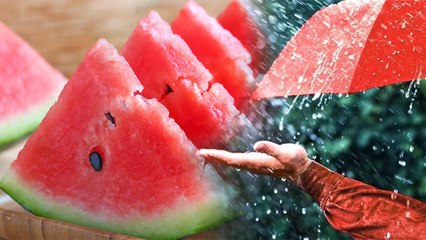 बारिश में तरबूज खाना चाहिए या नहीं | Monsoon Me Watermelon Khana Chahiye ya Nahi | Boldsky * Health