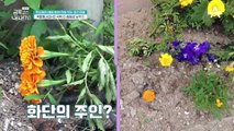 ★변신 완료★ 부정적 감정 높은 'ADHD' 금쪽이, 긍정 일기로 자존감 UP!