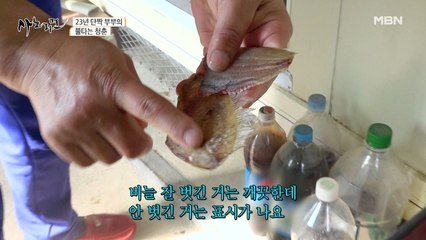 23년 단짝 부부라도 생선 손질은 얄짤없는 아내!?