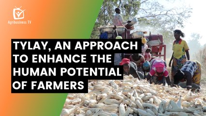 Burkina Faso: Tylay, an approach to enhance the human potential of farmers